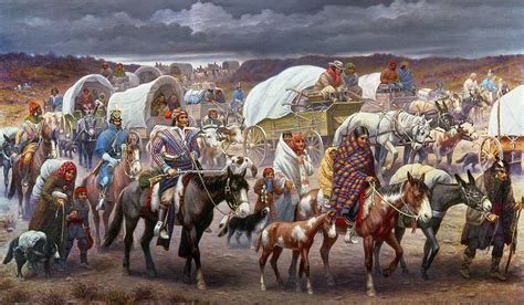  The Trail of Tears: American Indian Removal and the Resilience of the Cherokee Nation